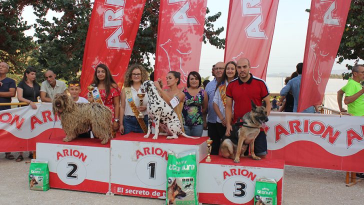 Las imágenes del Concurso de Perros Templaus de la Feria y Fiestas de Buñol