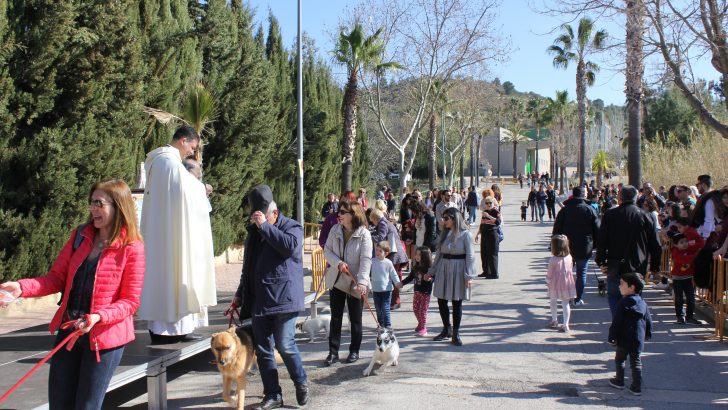 Las imágenes de la festividad de «San Antón» en Buñol