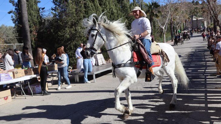 Gran éxito de participación en la bendición y desfile de animales por San Antón en Buñol